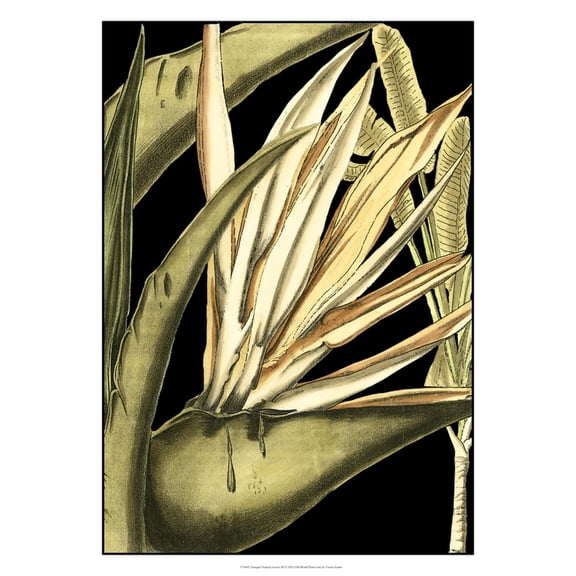 Art.com Tranquil Tropical Leaves III Art Print by Vision Studio, 12" x 16"