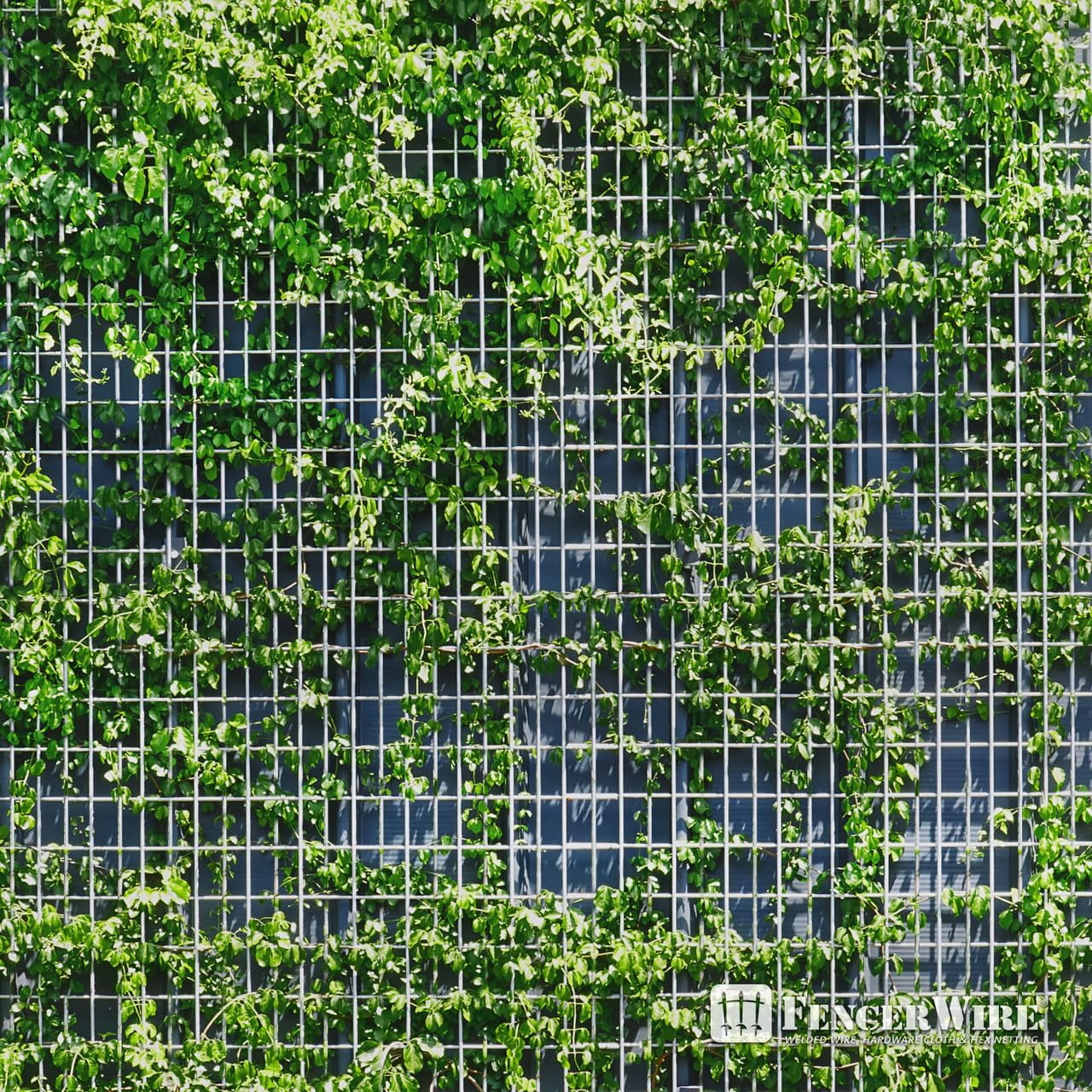 Fencer Wire Welded Wire Fence 16 Gauge, Galvanized Welded Fence Wire Roll, Mesh Size 0.5-Inch x 1-Inch, Hog Wire Fencing Cage, Multiple Use for Home Improvement & Animals Enclosure (3ft. x 100ft.)