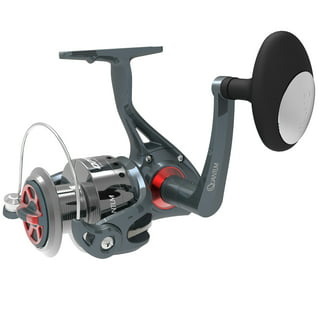 Quantum Cabo Saltwater Spinning Fishing Reel, Size 80 Reel, Silver/Blue 