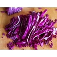 thumbnail image 3 of TomorrowSeeds - Red Acre Cabbage Seeds - 1000+ Count - For 2026 Planting Heirloom Coldy Hardy, 3 of 9