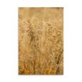 thumbnail image 2 of Gango Home Decor Autumn Grasses I by Kathy Mahan (Printed on Paper); One 24x36in Fine Art Paper Giclee Print, 2 of 4