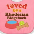 thumbnail image 4 of Inktastic Rhodesian Ridgeback Loved by a (dog Breed) Boys or Girls Baby Bib, 4 of 4