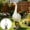 As shown, variant on Large Porch Gooses Statue, Realistic Hollow Plastic Garden Goose, 12.6 inch