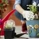thumbnail image 2 of 12 Sets Humedad Domo Pots de guardería Planta Mases de flores cuadradas Cotas de arranque, 2 of 7