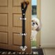 thumbnail image 1 of Campanas de entrenamiento para perros2 uds.ajustablepara perros y gatospara puerta de allanamiento de morada Ndcxsfigh Nuevos Originales, 1 of 8
