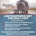 Kidney Support Wet Canned Cat Food for Renal Health (Chicken Liver
