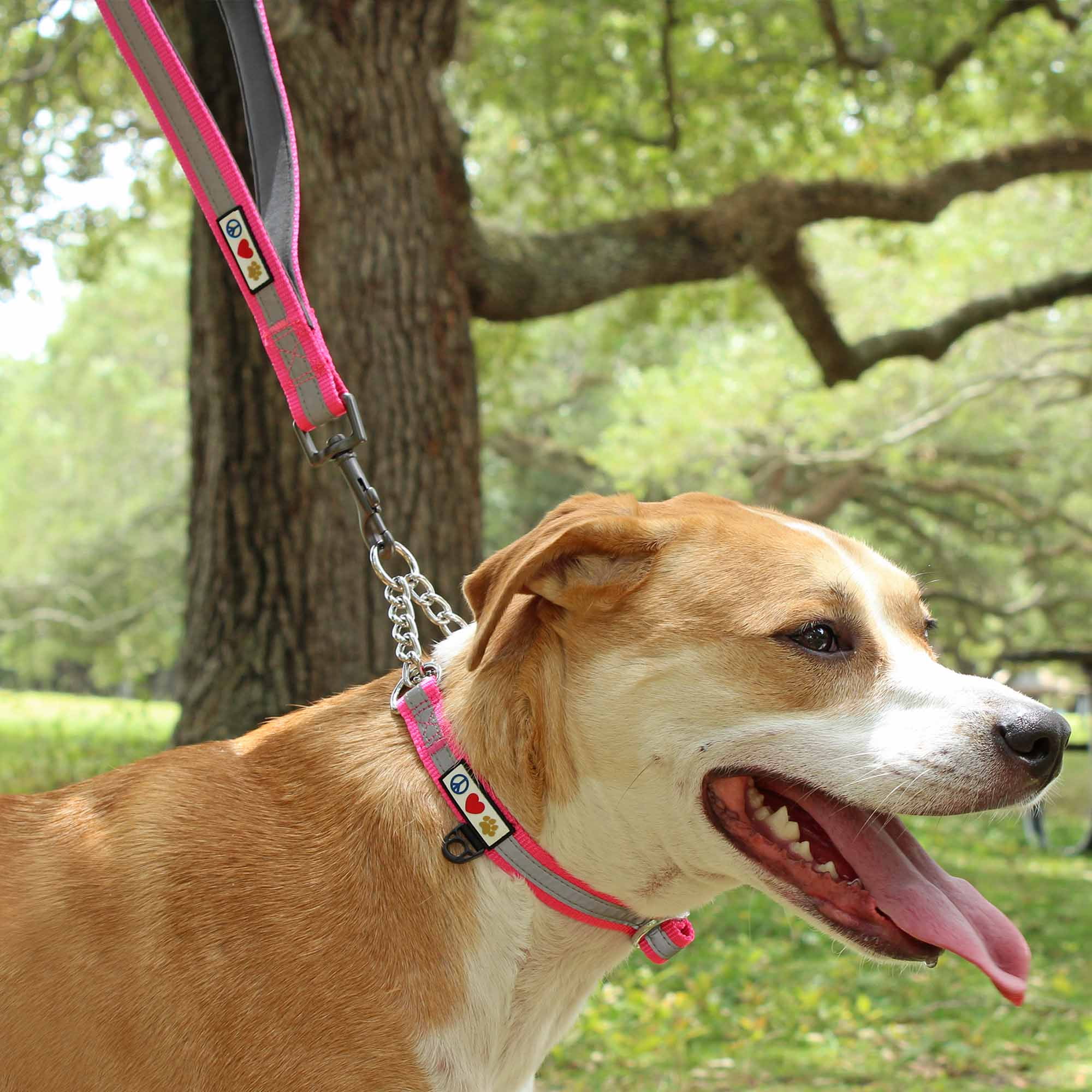 Pawtitas Double Handle Dog Leash Ideal for Medium and Large Dogs Training Dog Leash - Medium / Large - Purple Orchid