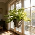 thumbnail image 1 of Artificial Green Plants For Indoor And Outdoor Decoration Green Wall Decoration, 1 of 6