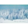 thumbnail image 2 of Deiter, Lori 18x13 White Modern Wood Framed Museum Art Print Titled - Snowy Turquoise Forest, 2 of 4