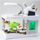 thumbnail image 2 of Billuyoard USB Desktop Aquariums Fish Tank con LED Light Pen Holder Despertador Oficina Decoración Alimentadores automáticos de peces Billuyoard PT000935-00, 2 of 6