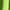 Z1-Green, variant on SAWKMW Girls Pleated Tennis Skirts with Shorts Athletic Skirt with Side Pocket High Waist Active Skort for Girls Kids Teen(Khaki,L)