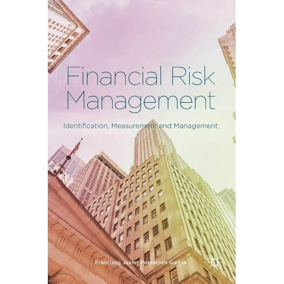Financial Risk Management: Identification, Measurement and Management, (Hardcover)