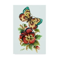 Trademark Fine Art 'Butterfly on Red Pansy' Canvas Art by Carol J Rupp