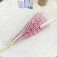 thumbnail image 4 of 10Pcs Long Artificial Flower Winter Jasmine Folk Pip Berry Plant Dry Branches for Wedding Home Office Party Hotel Table Vase Christmas Decor, 4 of 8