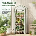 thumbnail image 2 of Bamworld Mini Greenhouse for Outdoor 3-Tierd Reusable Portable Warm House with PE Cover Compact Garden and Backyards Portable Rack with Sturdy Eucalyptus Frame Winter-Proof for Plant Protection, 2 of 6
