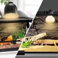 thumbnail image 1 of 220v Uva Heating Lamp High Brightness Daylight Bulb Heat Lamp Bulb For Turtle Lizard Hedgehog Reptile 50w, 1 of 5