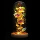 thumbnail image 4 of 1pc oro lámina rosa flor vidrio cúpula ornamento agradable lámpara led flor de vidrio decoración de cúpula, 4 of 4