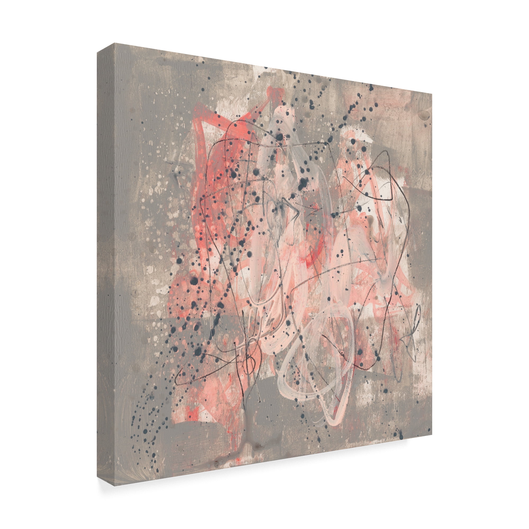 Trademark Fine Art 'Blush Kinesis I' Canvas Art by Jennifer Goldberger