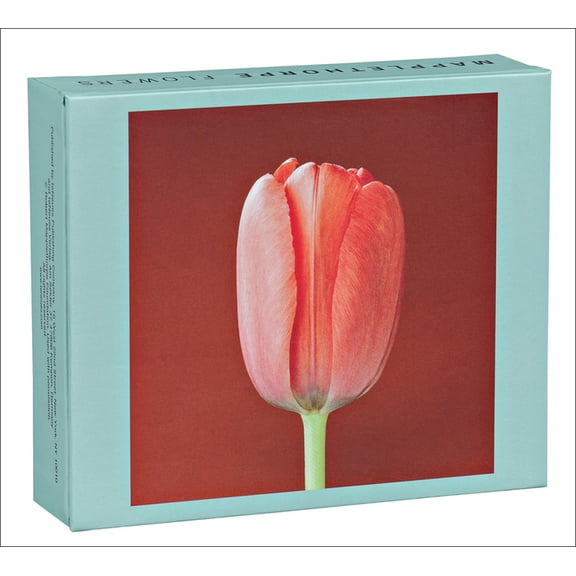 Mapplethorpe Flowers QuickNotes (General merchandise)