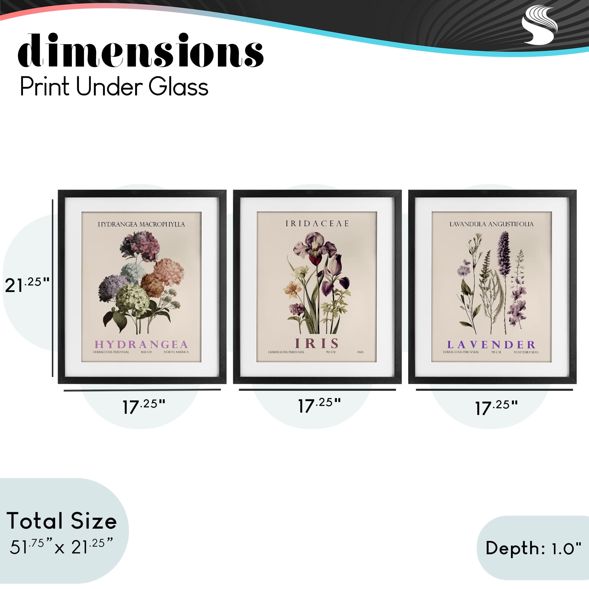 Stupell Industries Botanical Bundles & Sprigs 3 Piece Black Framed Print Under Glass Set, design by Christopher Giampietro