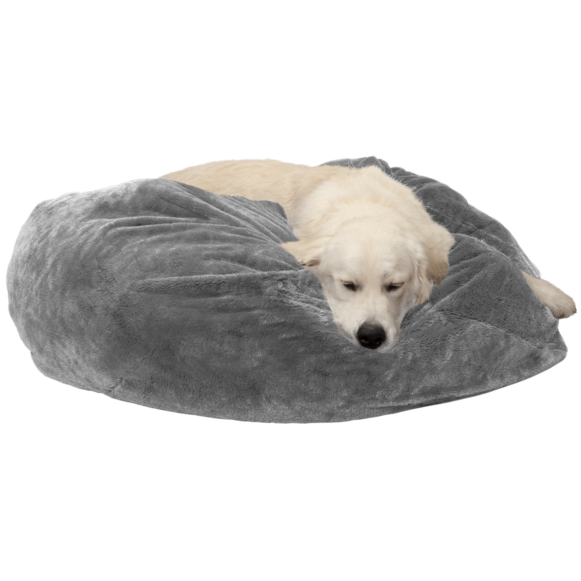pet ball dog