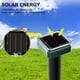 thumbnail image 3 of Repelente Solar Ratas para Jardín Cuadrado Con Luces Repelente Ultrasónico Serpientes para Exteriores Repelente Granja (cuadrado 8 Unidades) [paquete Cuadrado 8], 3 of 9