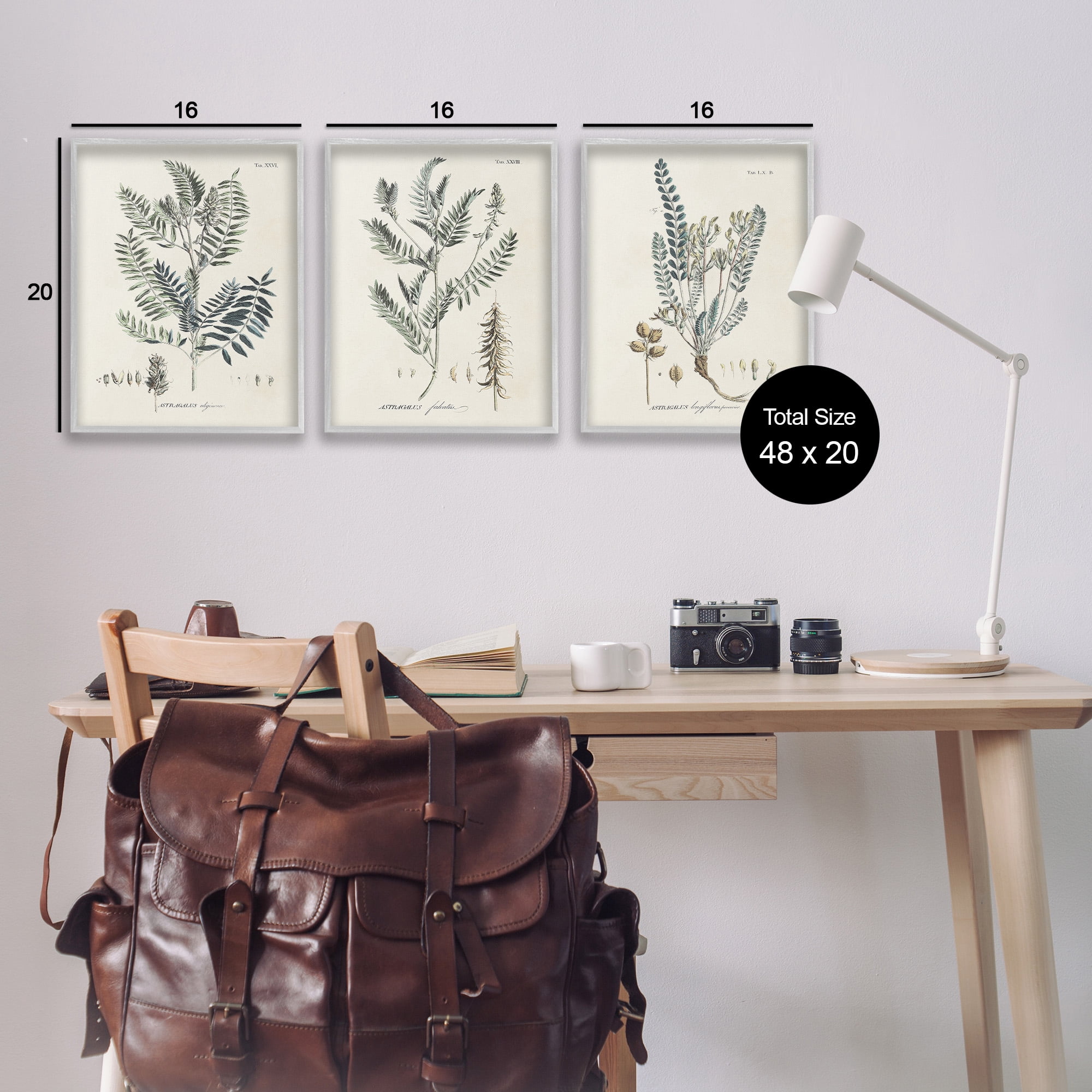 Stupell Industries Woodland Plant Studies Botanical & Floral Painting Gray Framed Art Print Wall Art, 16 x 20, Set of 3