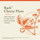 thumbnail image 3 of Flower Essence Bach Original Cherry Plum, 10 ml, sin alcohol, 3 of 5