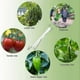 thumbnail image 2 of 10 Pack Tomato Hooks with Rope, Tomatoes and Cucumbers, Greenhouses for Other Vegetables, 2 of 5