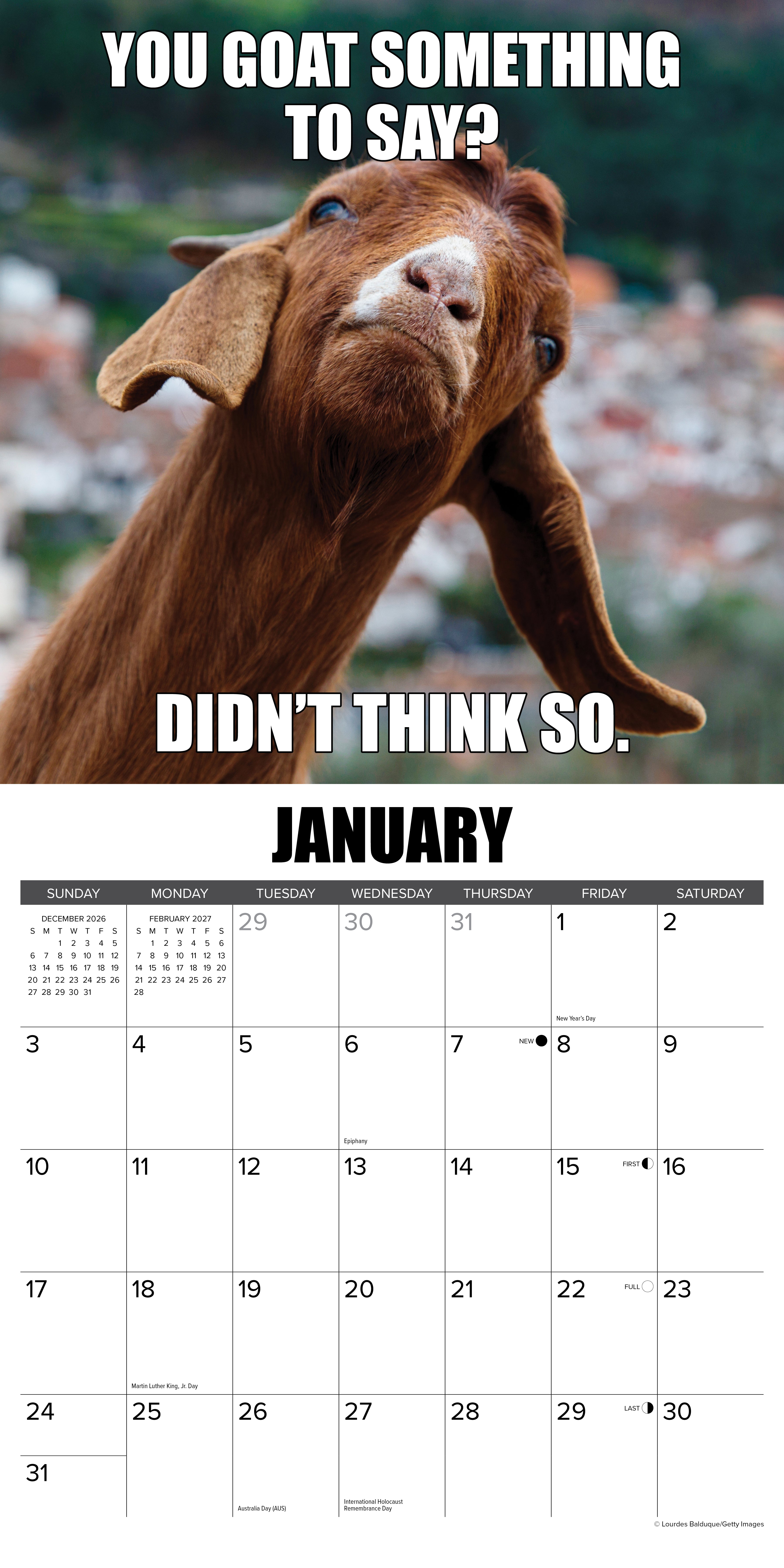 Willow Creek Press, You Goat This 2027 Wall Calendar