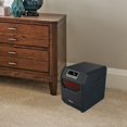 thumbnail image 3 of Lifesmart 4-Element Quartz Portable Électrique Grand Espace de Chauffage, 3 of 6