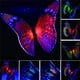 thumbnail image 3 of Injueey 3 piezas de luz solar impermeable para patio, patio, camino, patio, lámpara de tierra, decoración para el hogar y la oficina, Iluminación y accesorios, 3 of 6
