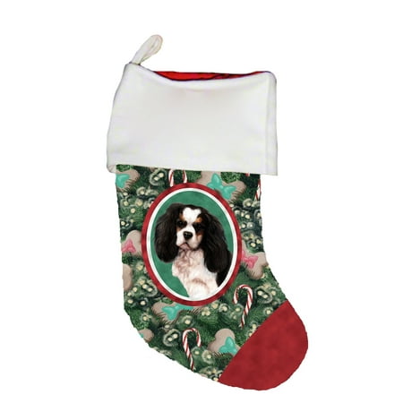 Cavalier King Charles Cotton Stockings - Cavalier King Charles Tri - Best of Breed Dog Breed Christmas Stocking