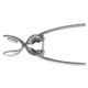 thumbnail image 2 of Nutcracker Tool with Ergonomic Grip for Comfortable and Safe Operation, 2 of 10