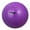 Purple, variant on GSE Games & Sports Expert 10" Green Classic Inflatable Playground Ball, Kickball, Dodgeball, Handball for Kids Schools Indoor/Outdoor Play