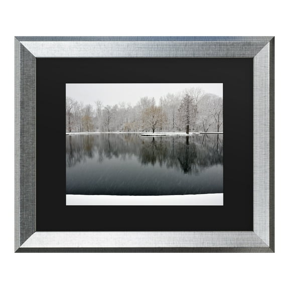Trademark Fine Art 'Snowy Pond' Canvas Art by Kurt Shaffer