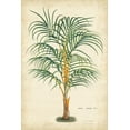 thumbnail image 2 of Van Houtteano, Horto 13x18 White Modern Wood Framed Museum Art Print Titled - Palm of the Tropics III, 2 of 4