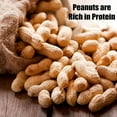 thumbnail image 3 of Old Potters Wildlife in-Shell Peanuts, 4 lbs for Birds, Squirrels, and Wildlife. USA Grown Non-GMO, Small Farm, Raw in-Shell Peanuts. Wildlife Grade., 3 of 6