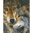 thumbnail image 1 of Pintura de diamante (DE5490) Cuadrado de resina Dos lobos Imagen hecha a mano de diamantes de imitación 30x40cm FLhrweasw Nuevo, 1 of 1