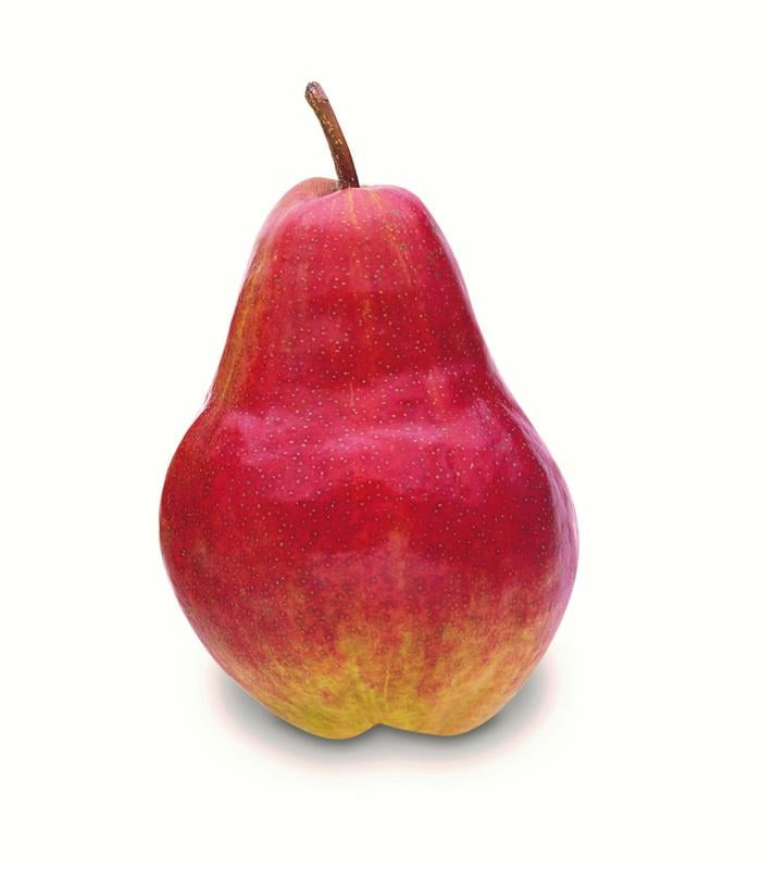 Red Pears, Each