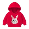 thumbnail image 2 of Frostluinai Cute Hoodies for Toddler Boy 2-7Y Little Girls Graphic Print Sweatshirts Fall Warm Pullover Tops Long Sleeve Casual Hoodies, 2 of 6