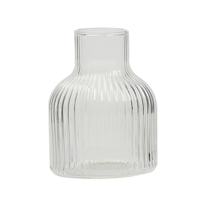 GROWTH TANK Glass Bud Vase Modern Handcraft Retro Home Decor for Office Gift Party B