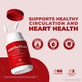 thumbnail image 4 of Corivitus Capsules - Official Corivitus Pills to Maintain Overall Health, All Natural Blood Formula For Healthy and Stable Levels, Corivitus Review (60 Capsules), 4 of 10