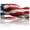 Artistic American, variant on USA 250th Anniversary License Plate, Personalized Fighter Jet Car Front License Plate Cover, Car Decor Accessory Stainless Aluminum Metal Rust-Proof Car Plate Novelty Vanity Tag 6 X 12 Inch