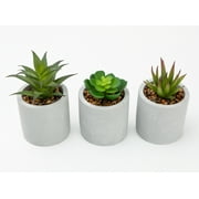 Mainstays 3-Piece Succulent Set in Gray Cement Planters