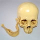 thumbnail image 4 of 4X Modelo 1: 1 Resina Cráneo Humano Anatomía Enseñanza Decoración Amarillo, 4 of 4