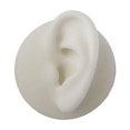 thumbnail image 2 of 4x Molos oreja silicona reutilizables suaves Pendientes botón Joyas exhibición, 2 of 9