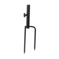 View all media