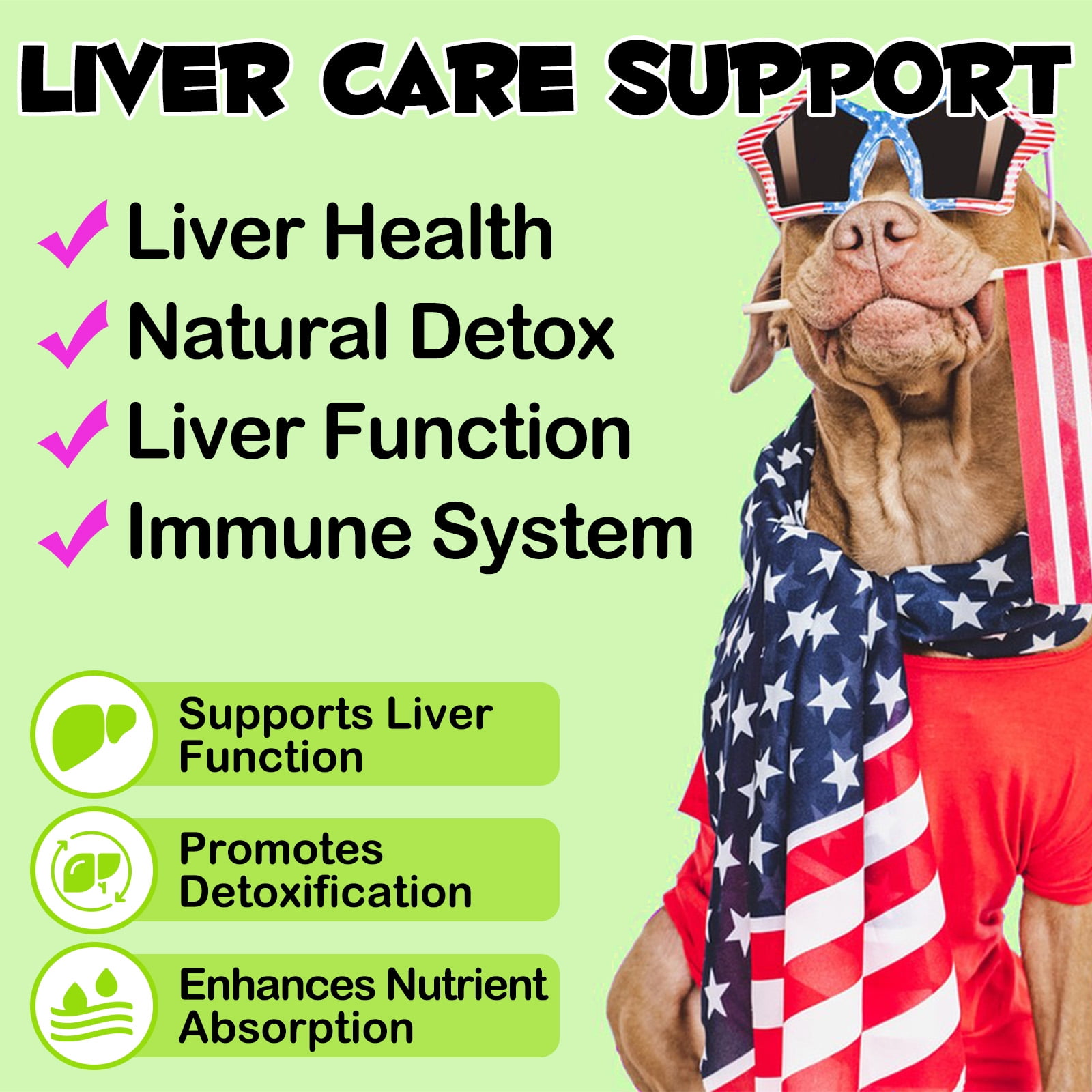 Oimmal Liver Supplement for Dog , 300 Chews - Liver Support for Dogs, with Milk Thistle Extract, Turmeric Curcumin, Choline for Dog Liver Function -Beef Flavor