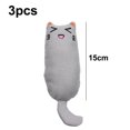 thumbnail image 2 of 3 uds juguete con hierba gatera gato de interior jugando masticar dientes limpieza juguete almohada, 2 of 5